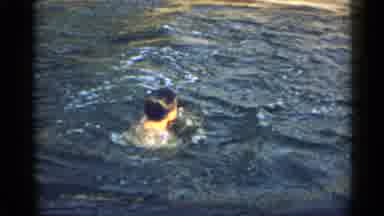 New York USA (1954): Two Young Boys Swim Freestyle In Water Towards A Canoe