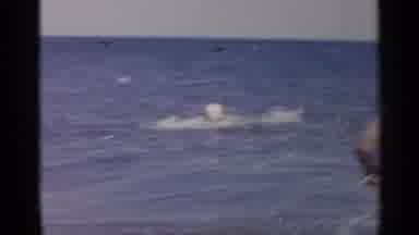 New York USA (1954): People Playing And Swimming In The Waves Of A Ocean Near The
