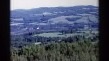 Lake George New York (1955): Woman Wearing White Shirt Looks At Green Trees In