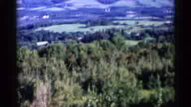 Lake George New York (1955): Green Forest Far From Small Houses Near Fields And