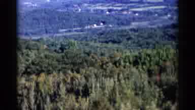 Lake George New York (1955): A Breath Taking A Giant Forest With The Trees And