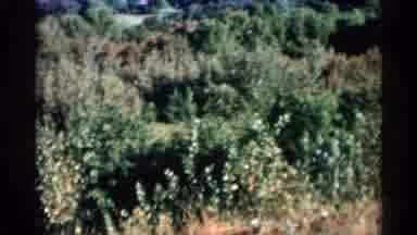 Lake George New York (1955): Old A Road Near The Ocean In The Seventies