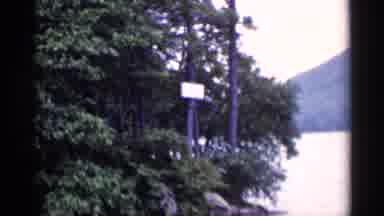 Lake George New York (1955): Forest With Green Trees And People On Cars Waving At