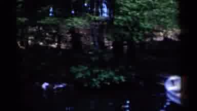 Lake George New York (1955): Man Woman Boats Ocean