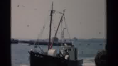 Cape Cod Massachusetts (1956): A Bunch Of Birds Flying Over The Bay And With Boats