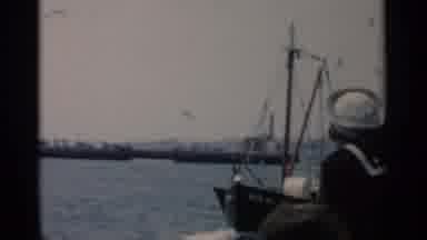 Cape Cod Massachusetts (1956): Seagulls Flying Around And Landing On Boat Looking
