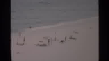 Cape Cod Massachusetts (1956): People Playing On The Beach With Sand