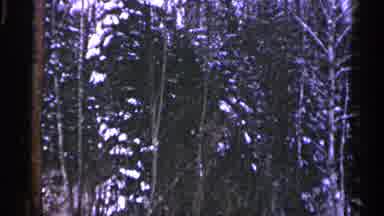 Duluth Minnesota (1960): Cold And Snowy Scene In Wooded Hills On A Winter Day
