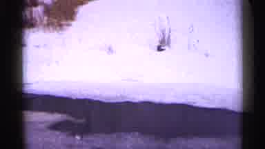 Duluth Minnesota (1960): Winter's Snow In Different Images Put Together In An