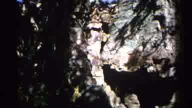 Sioux Falls South Dakota (1960): A Big Mountain In The Woods For People To Climb