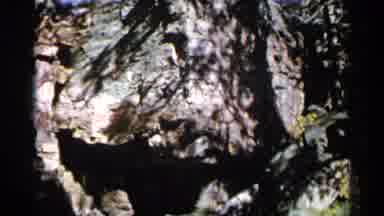 Sioux Falls South Dakota (1960): Looking Out Of A Cave To The Blue Sky Above