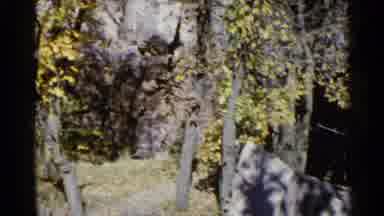 Sioux Falls South Dakota (1960): Panning Green Tree Landscape With Rocks Grass No