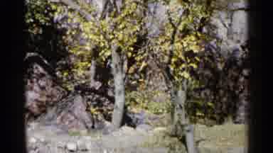 Sioux Falls South Dakota (1960): Environment Rocks Trees Green Yellow Blue Water