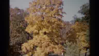 Sioux Falls South Dakota (1960): Nearby Road Have Many Beautiful Trees