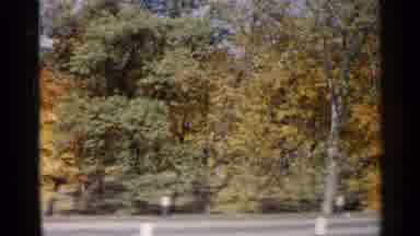 Sioux Falls South Dakota (1960): Trees On The Edge Of A Road With Cars Driving By