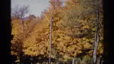 Sioux Falls South Dakota (1960): Cars Pass In Front Of Beautiful Trees With Yellow