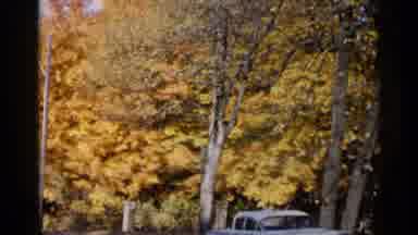 Sioux Falls South Dakota (1960): Black And White Cat Gets Treat From Hand Of