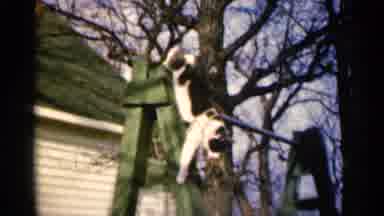 Sioux Falls South Dakota (1960): Man Wearing White Shirt Pets Cat Standing On