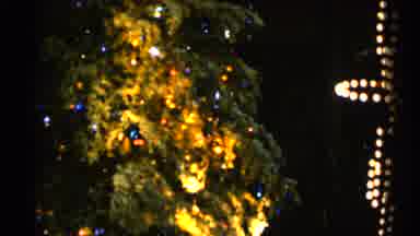 Sioux Falls South Dakota (1960): Christmas Tree Slowly Revolving In Circles