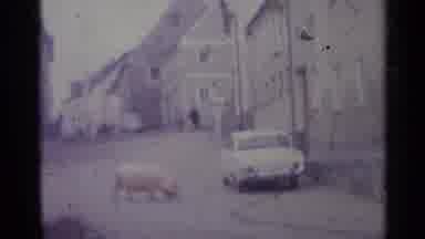 SPAIN-1961: Large Pig Wanders City Street Near Parked Car