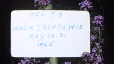 Milwaukee Wisconsin (1964): Pink Flowers Near White Sign With Blue Writing About