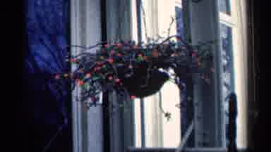 Minnesota USA (1964): An Old Plant Hanging From The Ceiling On The Front Porch Of