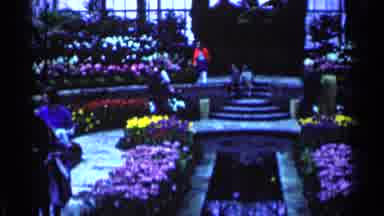 Minnesota USA (1964): The Indoor Garden With Colorful And Very Diverse Flowers