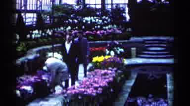 Minnesota USA (1964): Family Walk Around And Enjoy The Flowers In An Indoor Garden
