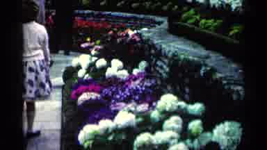 Minnesota USA (1964): Como Park Zoo And Conservatory On A Clear Day