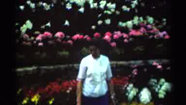Minnesota USA (1964): Groups Of People Admiring Different Flowers In A Public