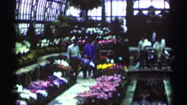 Minnesota USA (1964): Men Women And Kids Walking Through A Greenhouse Filled With