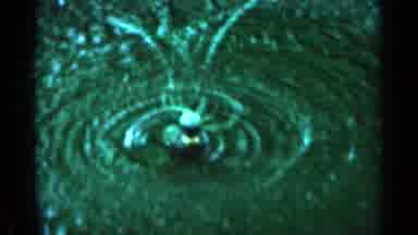 Minnesota USA (1964): Sprinkler Moistening Flowers Then Showing The Flowers It