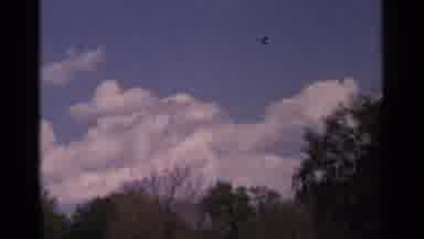 Minnesota USA (1964): Blue Sky Green Trees And White Clouds On A Sunny Day