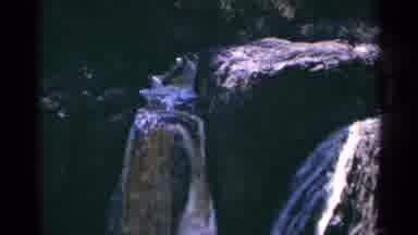 Minnesota USA (1964): Copper Falls State Park Sign And Copper Waterfall On A Clear