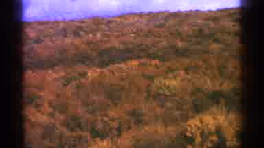 Minnesota USA (1964): May Be A Lighting In The Raining Night And Showing Ground
