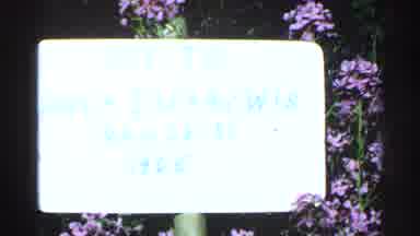 Washington Island Wisconsin (1964): White Sign Displayed Around Some Flowers