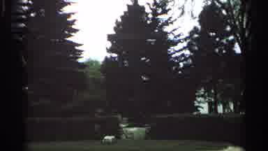 Washington Island Wisconsin (1964): The Nicolet Memorial Gardens View Trees And