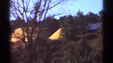 Arkansas USA (1965): Old Video Recording Of Treetops And Structure In The Distance