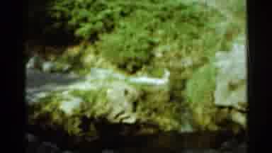 Arkansas USA (1965): Lovely Shots Of The Stone Walls Covered In Moss And Leaves On