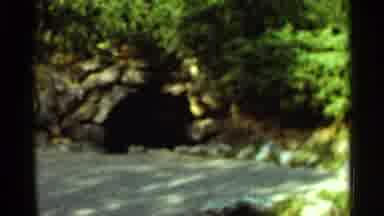 Arkansas USA (1965): Green Trees And Tunnel On A Bright Sunny Day