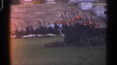 Arkansas USA (1965): Poppies Growing On A Grass Bed In The Middle Of A City