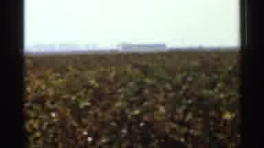 Arkansas USA (1965): Amateur American Farmland In The Middle Of Summertime That Is