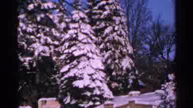 Minnesota USA (1965): Amazing Shots Of The Evergreen Trees Covered In Snow On A