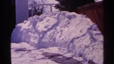 Minnesota USA (1965): A White And Brown Cat Sits In The Snow By A Snowbank