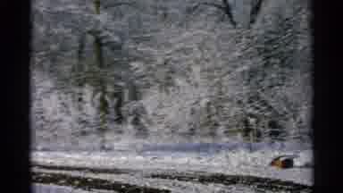 Minnesota USA (1965): Old Video Footage Of Land Surrounded By A Wire Fence And