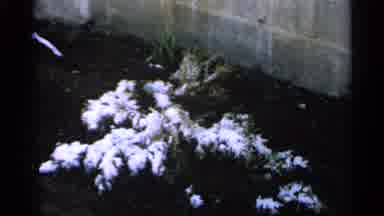 Minnesota USA (1965): The First Snow Of The Season