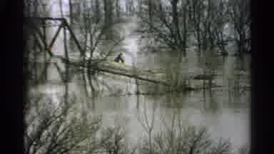 Minnesota USA (1965): Tree In A River And Big Iron Bridge Over It In The Distance