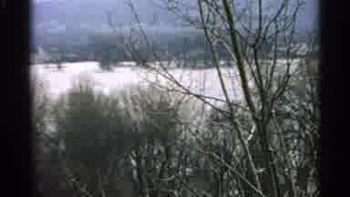 Minnesota USA (1965): Landscape Of Trees And A Forest During Winter Snow On The
