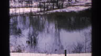Minnesota USA (1965): Lake Protected By Fence