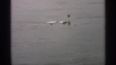 Minnesota USA (1965): A Lake Or River Is Shown To Have Risen Up Onto The Land